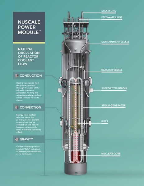 https://s3-us-west-2.amazonaws.com/secure.notion-static.com/c64a1871-a054-40be-b558-cea0ef19daa0/Diagram_of_a_NuScale_reactor.png