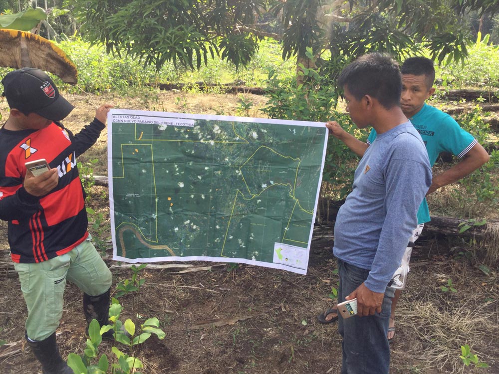 A new reforestation initiative in the Amazon