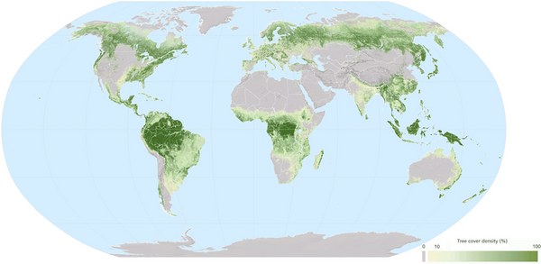 Essential facts on deforestation