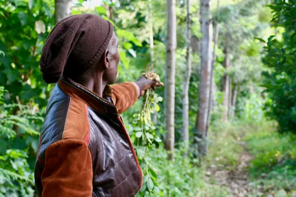 How thousands of subsistence farmers planted 20 million trees