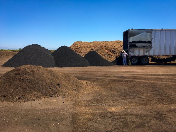 How Biochar in California is scaling their impact