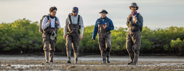 Turning over a new leaf for mangroves